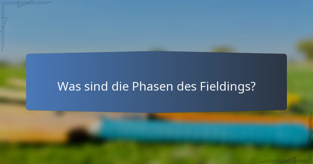 Was sind die Phasen des Fieldings?